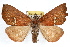  ( - RBMIS-1190)  @14 [ ] CreativeCommons - Attribution (2010) Unspecified Centre for Biodiversity Genomics
