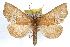  ( - RBMIS-1191)  @14 [ ] CreativeCommons - Attribution (2010) Unspecified Centre for Biodiversity Genomics
