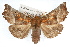  ( - RBMIS-1210)  @14 [ ] CreativeCommons - Attribution (2010) Unspecified Centre for Biodiversity Genomics