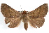  ( - RBMIS-1219)  @13 [ ] CreativeCommons - Attribution (2010) Unspecified Centre for Biodiversity Genomics