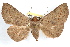  ( - RBMIS-1220)  @14 [ ] CreativeCommons - Attribution (2010) Unspecified Centre for Biodiversity Genomics