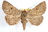  ( - RBMIS-1221)  @14 [ ] CreativeCommons - Attribution (2010) Unspecified Centre for Biodiversity Genomics