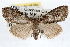  ( - RBMIS-1251)  @13 [ ] CreativeCommons - Attribution (2010) Unspecified Centre for Biodiversity Genomics