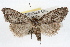  ( - RBMIS-1254)  @13 [ ] CreativeCommons - Attribution (2010) Unspecified Centre for Biodiversity Genomics