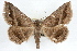  ( - RBMIS-1301)  @11 [ ] CreativeCommons - Attribution (2010) Unspecified Centre for Biodiversity Genomics