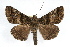  ( - RBMIS-1314)  @14 [ ] CreativeCommons - Attribution (2010) Unspecified Centre for Biodiversity Genomics