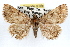  ( - RBMIS-1317)  @14 [ ] CreativeCommons - Attribution (2010) Unspecified Centre for Biodiversity Genomics