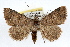  ( - RBMIS-1319)  @14 [ ] CreativeCommons - Attribution (2010) Unspecified Centre for Biodiversity Genomics
