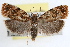  ( - RBMIS-1387)  @13 [ ] CreativeCommons - Attribution (2010) Unspecified Centre for Biodiversity Genomics