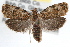  ( - RBMIS-1388)  @14 [ ] CreativeCommons - Attribution (2010) Unspecified Centre for Biodiversity Genomics