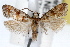  ( - RBMIS-1456)  @11 [ ] CreativeCommons - Attribution (2010) Unspecified Centre for Biodiversity Genomics