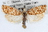  ( - RBMIS-1466)  @11 [ ] CreativeCommons - Attribution (2010) Unspecified Centre for Biodiversity Genomics