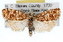  ( - RBMIS-1469)  @11 [ ] CreativeCommons - Attribution (2010) Unspecified Centre for Biodiversity Genomics