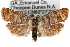  ( - RBMIS-1472)  @14 [ ] CreativeCommons - Attribution (2010) Unspecified Centre for Biodiversity Genomics