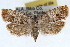  ( - RBMIS-1474)  @14 [ ] CreativeCommons - Attribution (2010) Unspecified Centre for Biodiversity Genomics