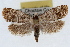  ( - RBMIS-1475)  @13 [ ] CreativeCommons - Attribution (2010) Unspecified Centre for Biodiversity Genomics