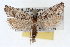  ( - RBMIS-1480)  @13 [ ] CreativeCommons - Attribution (2010) Unspecified Centre for Biodiversity Genomics