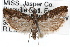  ( - RBMIS-1487)  @14 [ ] CreativeCommons - Attribution (2010) Unspecified Centre for Biodiversity Genomics