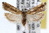  ( - RBMIS-1492)  @11 [ ] CreativeCommons - Attribution (2010) Unspecified Centre for Biodiversity Genomics