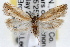  ( - RBMIS-1493)  @11 [ ] CreativeCommons - Attribution (2010) Unspecified Centre for Biodiversity Genomics