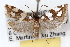  ( - RBMIS-1508)  @13 [ ] CreativeCommons - Attribution (2010) Unspecified Centre for Biodiversity Genomics