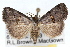  ( - RBMIS-1522)  @14 [ ] CreativeCommons - Attribution (2009) Unspecified Centre for Biodiversity Genomics