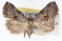  ( - RBMIS-1524)  @14 [ ] CreativeCommons - Attribution (2009) Unspecified Centre for Biodiversity Genomics