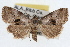  ( - RBMIS-1527)  @11 [ ] CreativeCommons - Attribution (2009) Unspecified Centre for Biodiversity Genomics