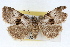  ( - RBMIS-1528)  @13 [ ] CreativeCommons - Attribution (2009) Unspecified Centre for Biodiversity Genomics