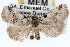  ( - RBMIS-1532)  @14 [ ] CreativeCommons - Attribution (2009) Unspecified Centre for Biodiversity Genomics