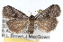  ( - RBMIS-1534)  @14 [ ] CreativeCommons - Attribution (2009) Unspecified Centre for Biodiversity Genomics
