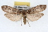  ( - RBMIS-1605)  @14 [ ] CreativeCommons - Attribution (2009) Unspecified Centre for Biodiversity Genomics