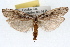  ( - RBMIS-1606)  @13 [ ] CreativeCommons - Attribution (2009) Unspecified Centre for Biodiversity Genomics