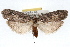  ( - RBMIS-1607)  @14 [ ] CreativeCommons - Attribution (2009) Unspecified Centre for Biodiversity Genomics