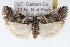  ( - RBMIS-1626)  @14 [ ] CreativeCommons - Attribution (2009) Unspecified Centre for Biodiversity Genomics