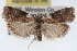  ( - RBMIS-1632)  @11 [ ] CreativeCommons - Attribution (2009) Unspecified Centre for Biodiversity Genomics