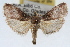  ( - RBMIS-1637)  @11 [ ] CreativeCommons - Attribution (2009) Unspecified Centre for Biodiversity Genomics