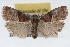  ( - RBMIS-1639)  @11 [ ] CreativeCommons - Attribution (2009) Unspecified Centre for Biodiversity Genomics