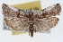  ( - RBMIS-1648)  @11 [ ] CreativeCommons - Attribution (2009) Unspecified Centre for Biodiversity Genomics