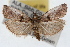  ( - RBMIS-1649)  @11 [ ] CreativeCommons - Attribution (2009) Unspecified Centre for Biodiversity Genomics