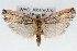  ( - RBMIS-1659)  @13 [ ] CreativeCommons - Attribution (2009) Unspecified Centre for Biodiversity Genomics