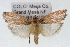  ( - RBMIS-1663)  @12 [ ] CreativeCommons - Attribution (2009) Unspecified Centre for Biodiversity Genomics