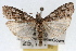  ( - RBMIS-1670)  @14 [ ] CreativeCommons - Attribution (2009) Unspecified Centre for Biodiversity Genomics