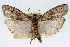  ( - RBMIS-1671)  @11 [ ] CreativeCommons - Attribution (2009) Unspecified Centre for Biodiversity Genomics