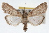  ( - RBMIS-1809)  @13 [ ] CreativeCommons - Attribution (2009) Unspecified Centre for Biodiversity Genomics
