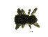  ( - MS527_2023)  @11 [ ] Unspecified (default): All Rights Reserved  Unspecified Unspecified