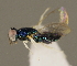  ( - ZMUO.027121)  @12 [ ] CreativeCommons - Attribution Non-Commercial (2016) Marko Mutanen University of Oulu