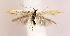  ( - BIRD13276)  @13 [ ] Copyright (2007) Unspecified Canadian National Collection