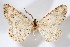  ( - AMNH_IZC 00197326)  @11 [ ] Unspecified (default): All Rights Reserved  Unspecified Unspecified