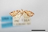  ( - USNM ENT 00797744a)  @11 [ ] Unspecified (default): All Rights Reserved  Unspecified Unspecified